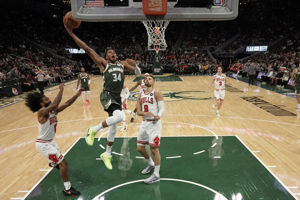 是昙花一现 是昙花一现